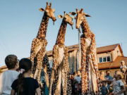 Els espectacles familiars es traslladen a la plaça de la Vila per celebrar Sant Jordi
