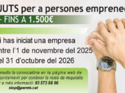 Subvencions per Emprenedors a Parets del Vallès: Oportunitats Financeres per a Nous Negocis