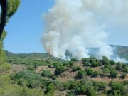 VÍDEO | Alarma a Parets: tallada la B-500 per un gran incendi amb un ampli desplegament de Bombers