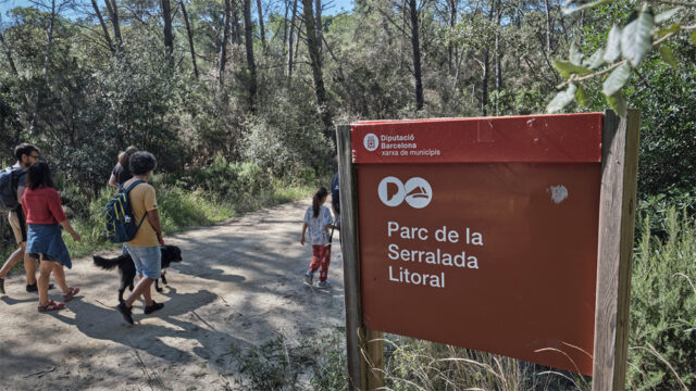 noticia_1782220723.jpg