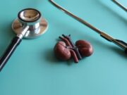 La llum posa en marxa un circuit per detectar abans la malaltia renal crònica en pacients de risc