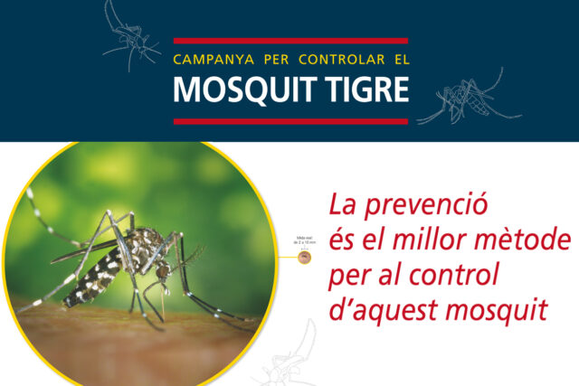 noticia_1786054301.jpg