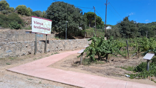 noticia_1789565436.jpg