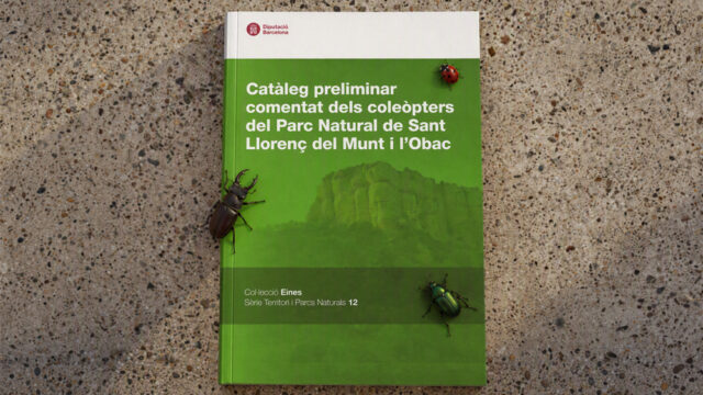 noticia_1793110713.jpg